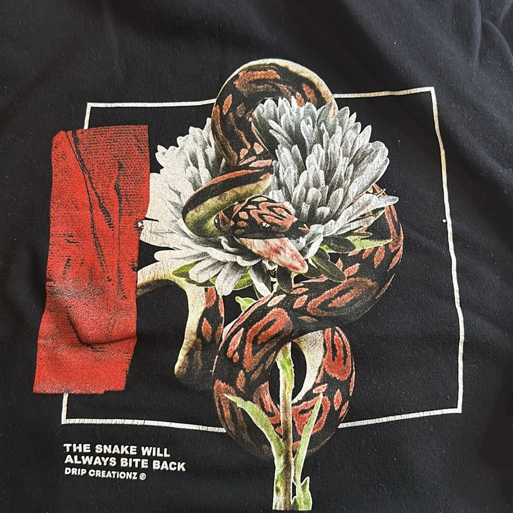 Black Hoodie with Design. “The Snake will always Bites Back”